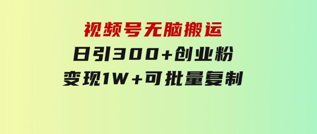 视频号无脑搬运日引300+创业粉，变现1W+可批量复制-十一网创