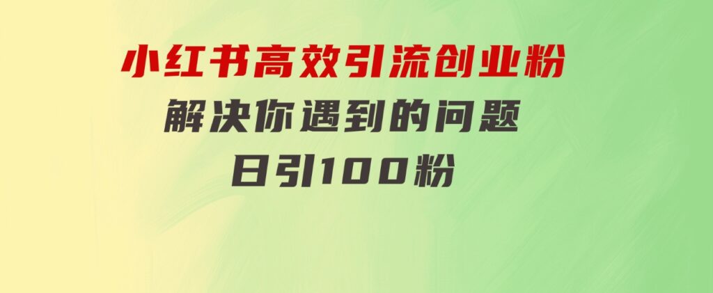 小红书高效引流创业粉，解决你遇到的问题，日引100粉-十一网创