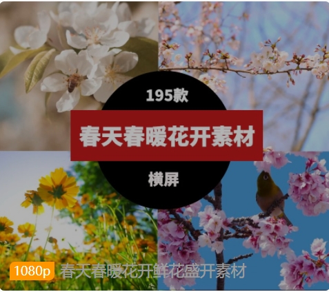 春天春暖花开鲜花盛开素材-十一网创