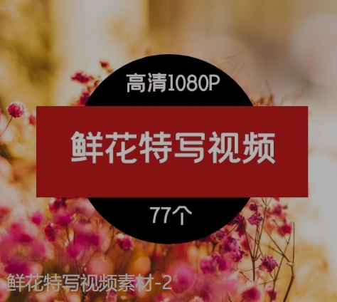 鲜花特写视频素材-2-十一网创