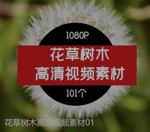 花草树木高清视频素材01-十一网创