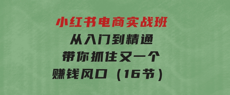 小红书电商实战班，从入门到精通，带你抓住又一个赚钱风口（16节）-十一网创