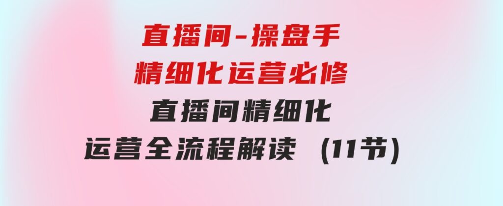 直播间-操盘手精细化运营必修，直播间精细化运营全流程解读(11节)-十一网创