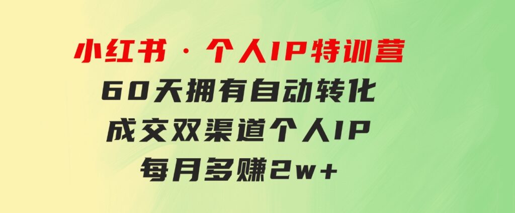 小红书·个人IP特训营：60天拥有自动转化成交双渠道个人IP，每月多赚2w+-十一网创
