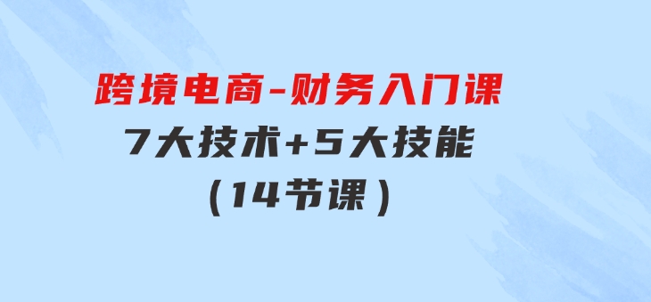 跨境电商-财务入门课：7大技术+5大技能（14节课）-十一网创