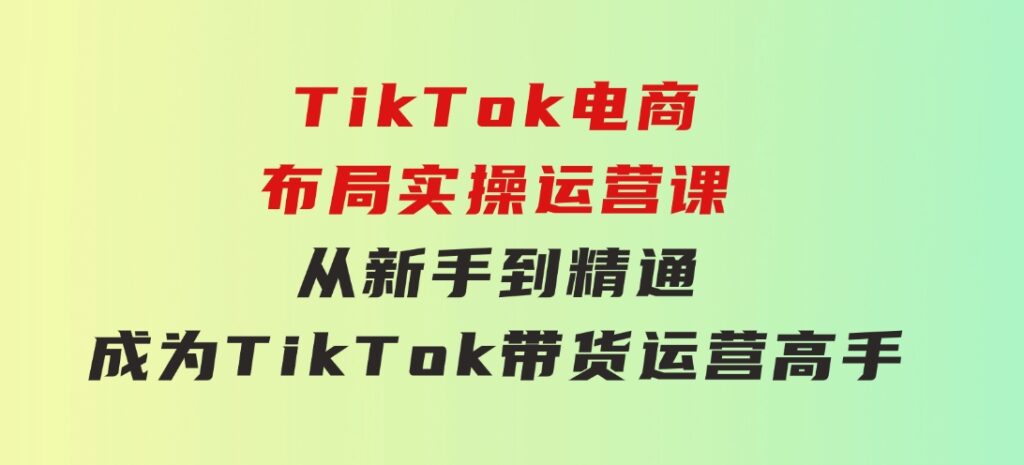 TikTok电商布局实操运营课：从新手到精通，成为TikTok带货运营高手-十一网创