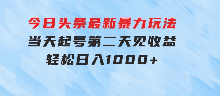 今日头条最新暴力玩法，当天起号，第二天见收益，轻松日入1000+-十一网创