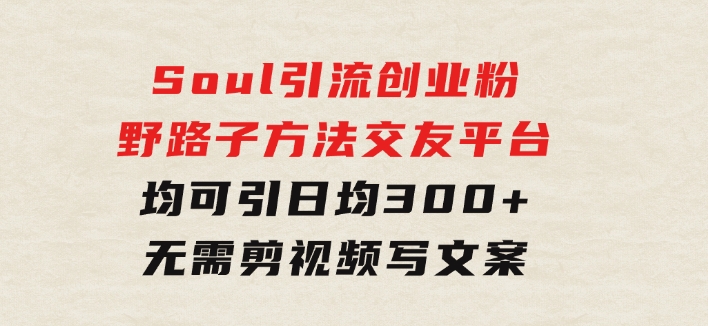 Soul引流创业粉野路子方法，交友平台均可引日均300+，无需剪视频写文案-十一网创