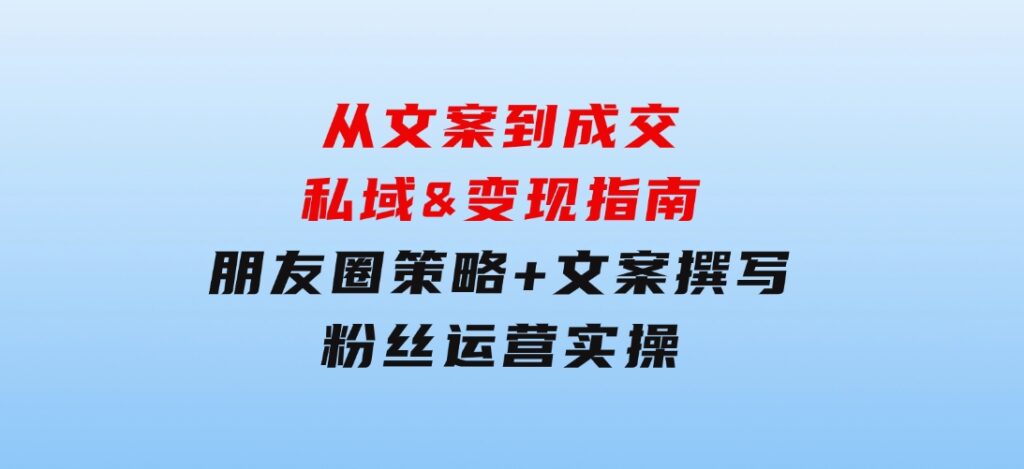 从文案到成交，私域&变现指南：朋友圈策略+文案撰写+粉丝运营实操-十一网创