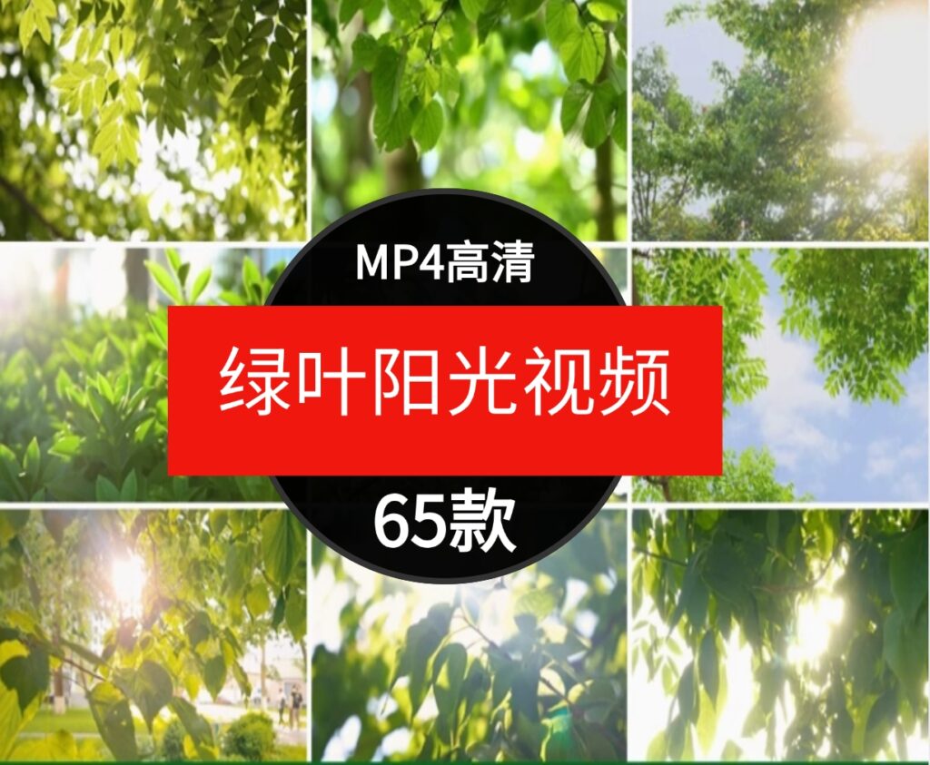 绿色小清新阳光穿透树叶自然美景森林治愈情感背景短片4K视频素材-十一网创