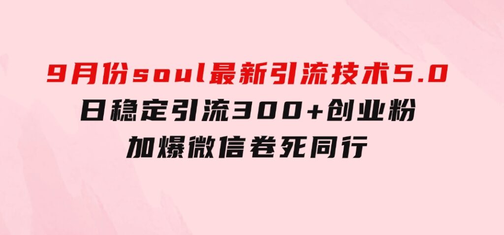 9月份soul最新引流技术5.0，日稳定引流300+创业粉，加爆微信，卷死同行-十一网创
