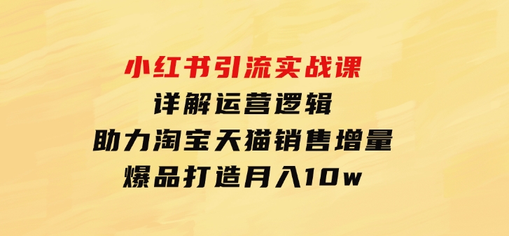 小红书引流实战课：详解运营逻辑，助力淘宝天猫销售增量，爆品打造月入10w-十一网创