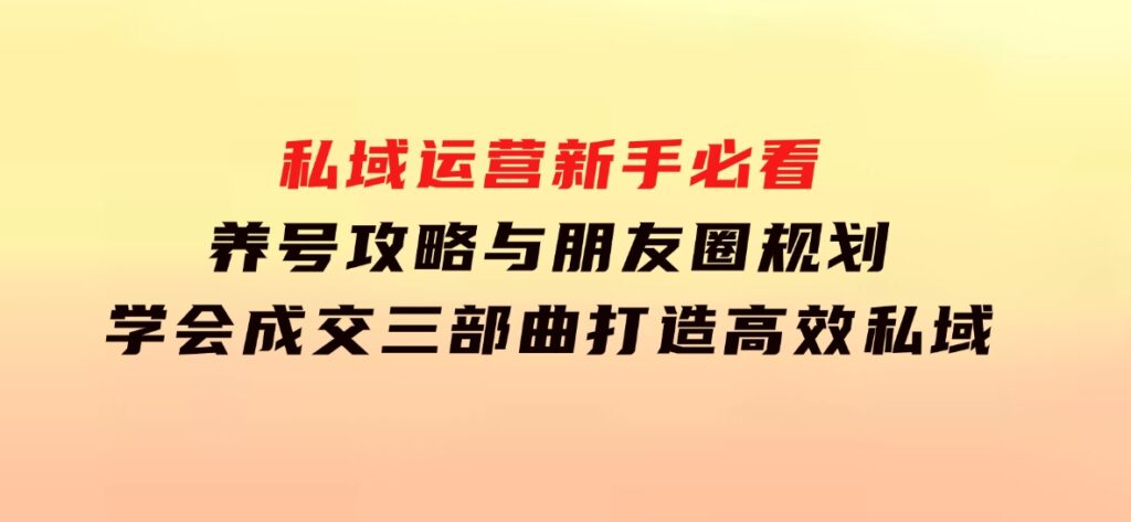 私域运营新手必看：养号攻略与朋友圈规划，学会成交三部曲，打造高效私域-十一网创