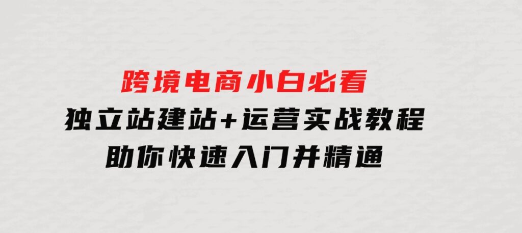 跨境电商小白必看！独立站建站+运营实战教程，助你快速入门并精通-十一网创