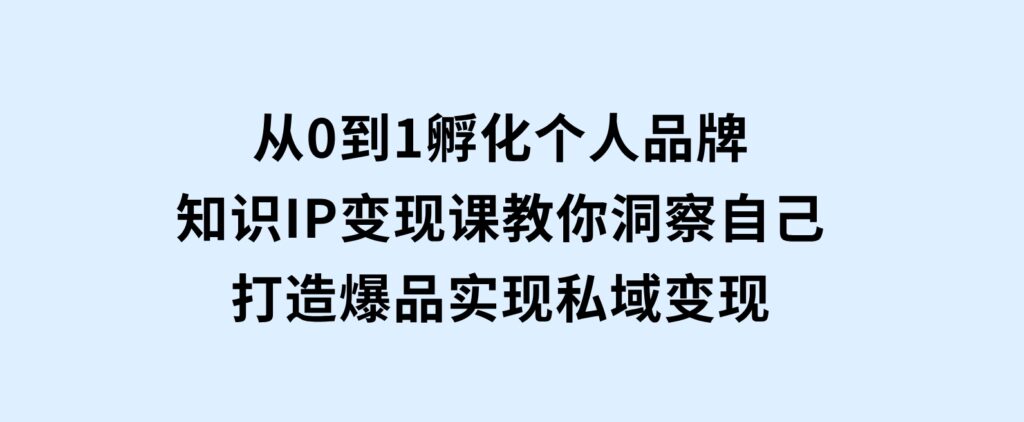 从0到1孵化个人品牌，知识IP变现课教你洞察自己，打造爆品，实现私域变现-十一网创