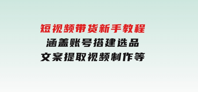 短视频带货新手教程：涵盖账号搭建，选品，文案提取，视频制作等-十一网创