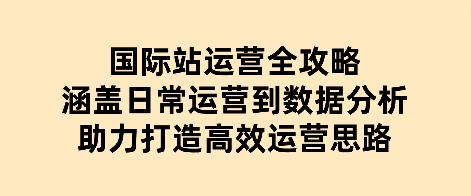 国际站运营全攻略：涵盖日常运营到数据分析，助力打造高效运营思路-十一网创