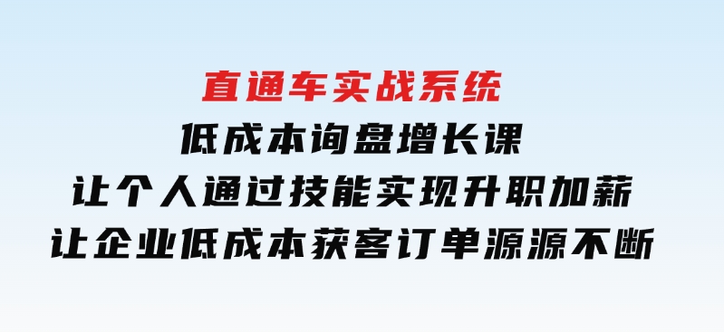 直通车实战系统：低成本询盘增长课，让个人通过技能实现升职加薪，让企业低成本获客，订单源源不断-十一网创