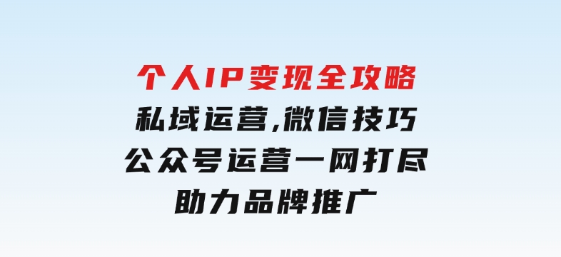 个人IP变现全攻略：私域运营,微信技巧,公众号运营一网打尽,助力品牌推广-十一网创