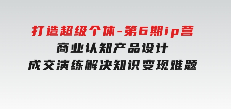 打造超级个体-第6期ip营：商业认知,产品设计,成交演练,解决知识变现难题-十一网创