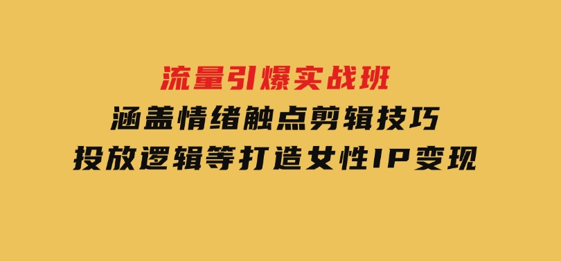 流量引爆实战班，涵盖情绪触点，剪辑技巧，投放逻辑等，打造女性IP变现-十一网创