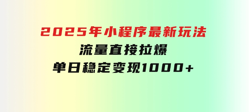 2025年小程序最新玩法，流量直接拉爆，单日稳定变现1000+-十一网创