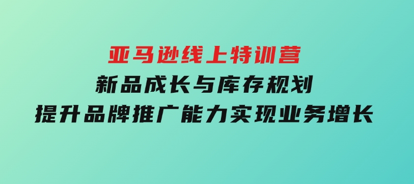 亚马逊线上特训营，新品成长与库存规划，提升品牌推广能力，实现业务增长-十一网创