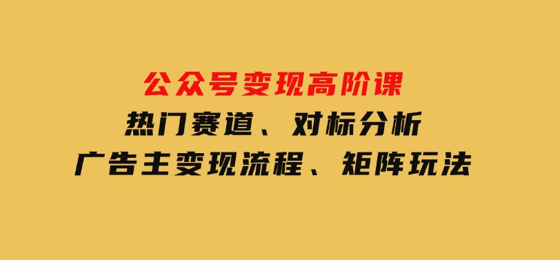 公众号变现高阶课：热门赛道、对标分析、广告主变现流程、矩阵玩法-十一网创