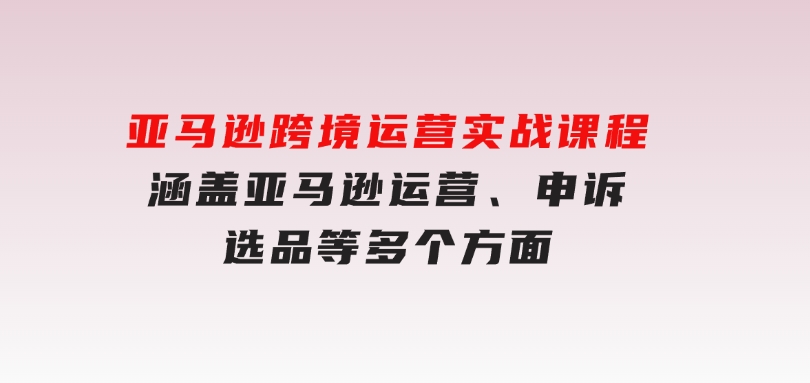 亚马逊跨境运营实战课程：涵盖亚马逊运营、申诉、选品等多个方面-十一网创
