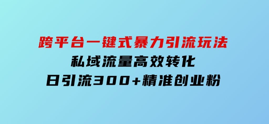 跨平台一键式暴力引流玩法，私域流量高效转化日引流300+精准创业粉-十一网创
