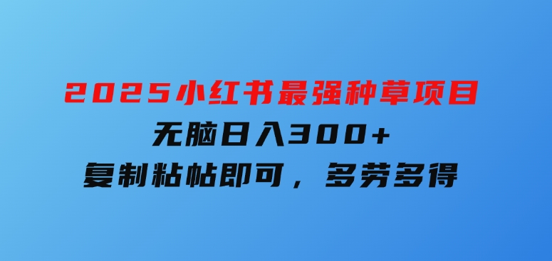 2025小红书最强种草项目，无脑日入300+，复制粘帖即可，多劳多得-十一网创
