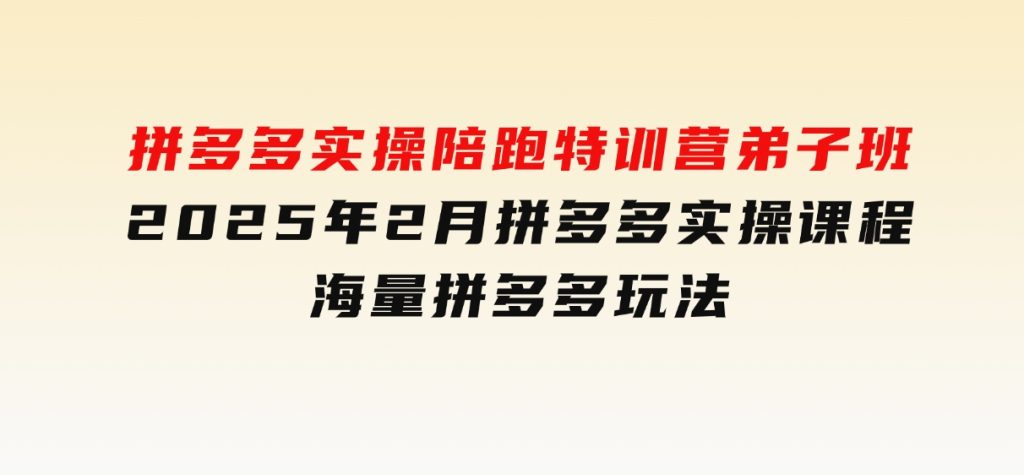 拼多多实操陪跑特训营弟子班，2025年2月拼多多实操课程，海量拼多多玩法-十一网创