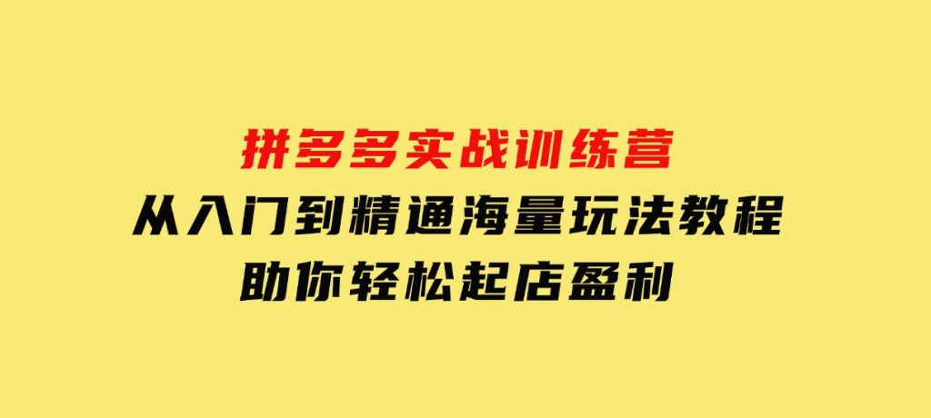 拼多多实战训练营，从入门到精通，海量玩法教程，助你轻松起店盈利-十一网创