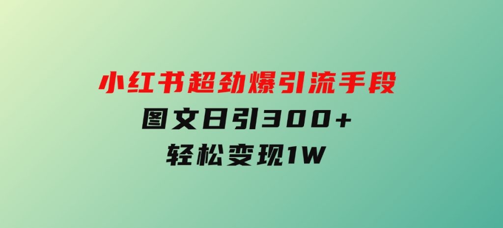 小红书超劲爆引流手段，图文日引300+轻松变现1W-十一网创