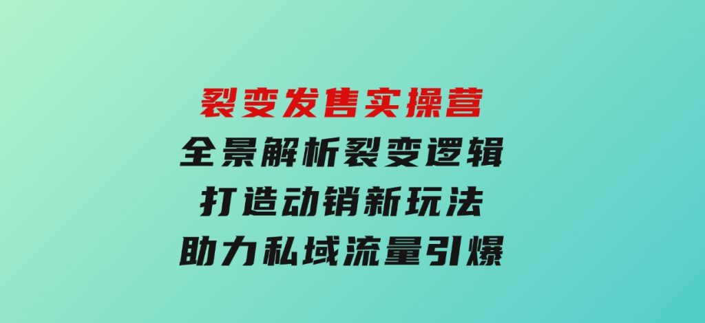 裂变发售实操营，全景解析裂变逻辑，打造动销新玩法，助力私域流量引爆-十一网创