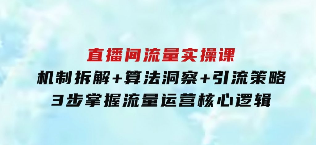 直播间流量实操课：机制拆解+算法洞察+引流策略，3步掌握流量运营核心逻辑-十一网创