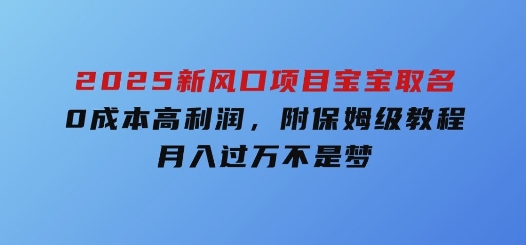 2025新风口项目宝宝取名，0成本高利润，附保姆级教程，月入过万不是梦-十一网创