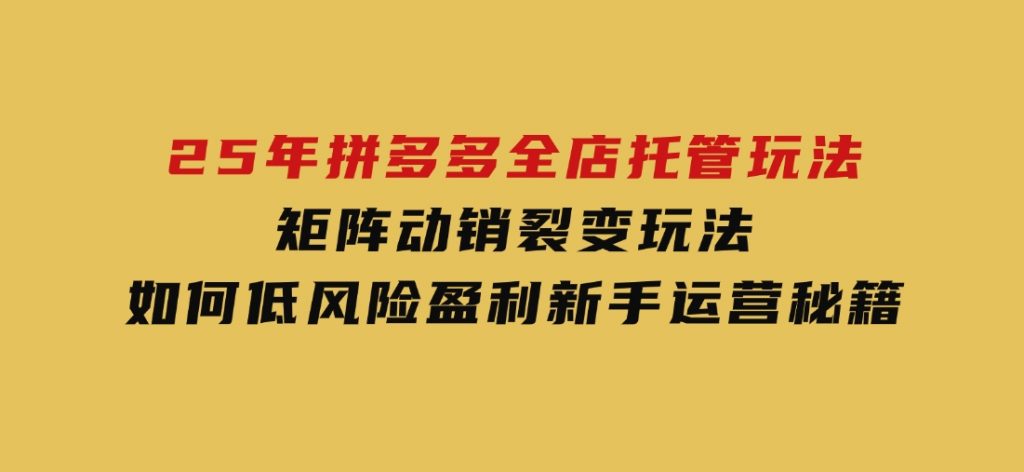 25年拼多多全店托管玩法，矩阵动销裂变玩法如何低风险盈利新手运营秘籍-十一网创