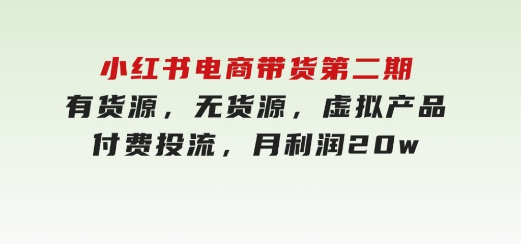 小红书电商带货第二期，有货源，无货源，虚拟产品，付费投流，月利润20w-十一网创