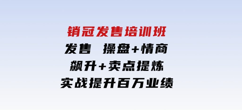 销冠发售培训班：发售操盘+情商飙升+卖点提炼，实战提升百万业绩-十一网创