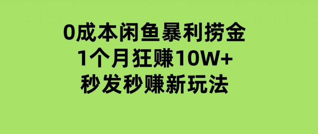 0成本闲鱼暴利捞金，1个月狂赚10W+，秒发秒赚新玩法-十一网创
