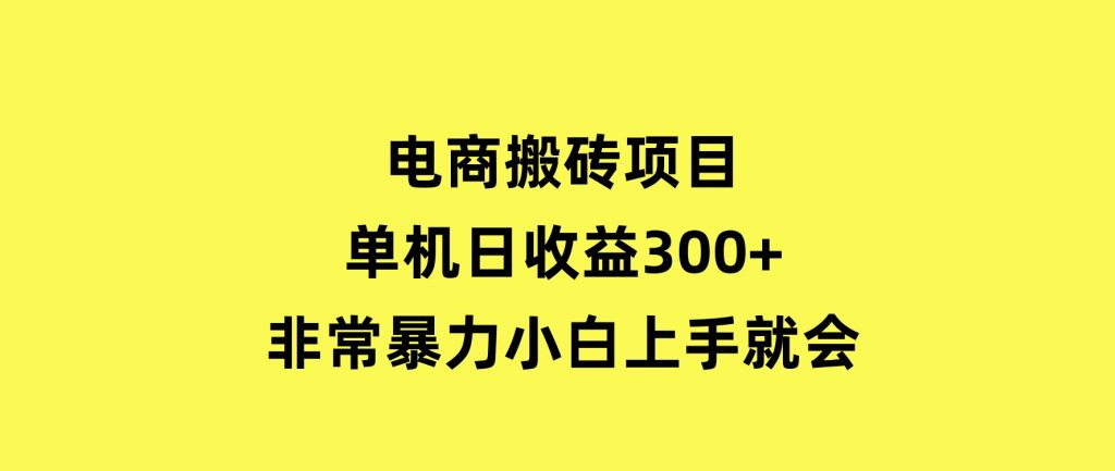 电商搬砖项目，单机日收益300+，非常暴力，小白上手就会-十一网创