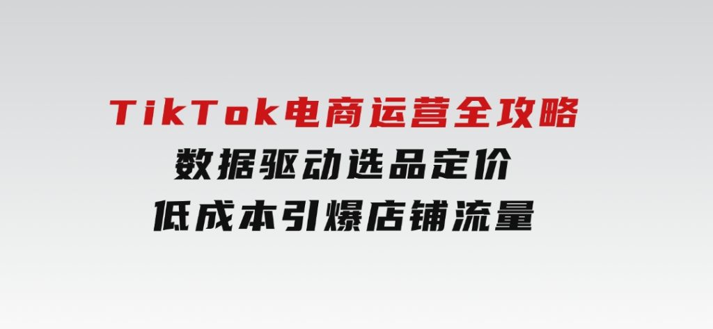 TikTok电商运营全攻略，数据驱动选品定价，低成本引爆店铺流量-十一网创