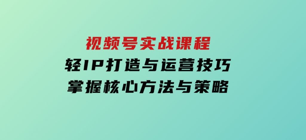 视频号实战课程，轻IP打造与运营技巧，掌握核心方法与策略-十一网创