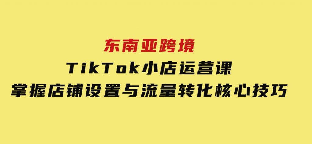 东南亚跨境TikTok小店运营课，掌握店铺设置与流量转化核心技巧-十一网创