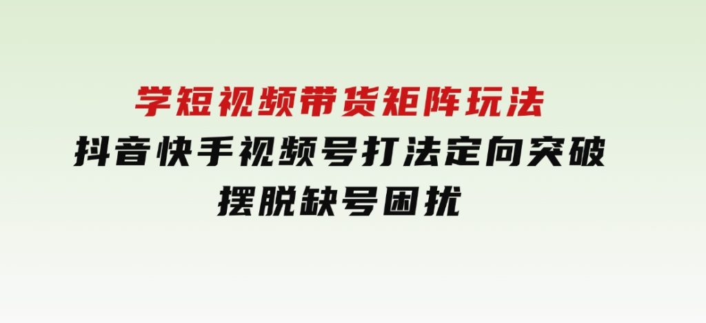 线下课：学短视频带货矩阵玩法抖音快手视频号打法定向突破，摆脱缺号困扰-十一网创