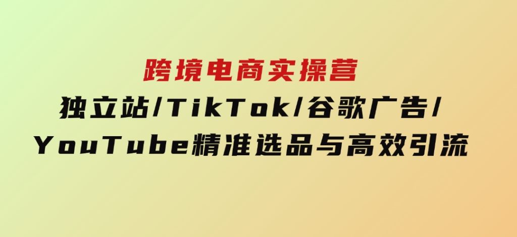 跨境电商实操营：独立站/TikTok/谷歌广告/YouTube，精准选品与高效引流-十一网创
