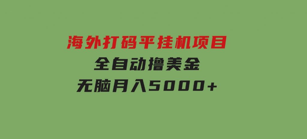 海外打码平挂机项目，全自动撸美金，无脑月入5000+-十一网创