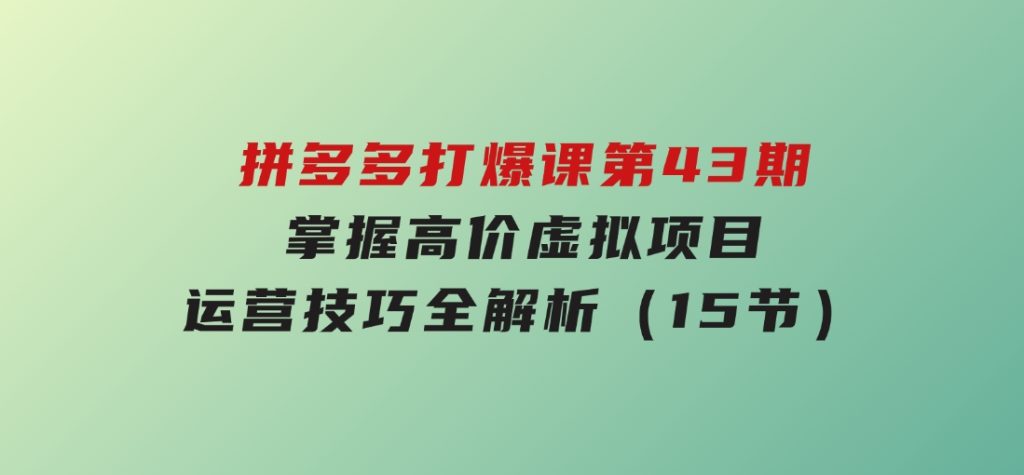 拼多多打爆课第43期，掌握高价虚拟项目，运营技巧全解析（15节）-十一网创