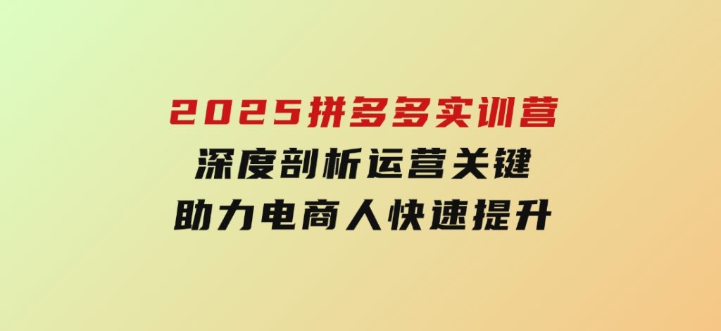 2025拼多多实训营：深度剖析运营关键，助力电商人快速提升-十一网创